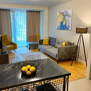 The Y اسطنبول